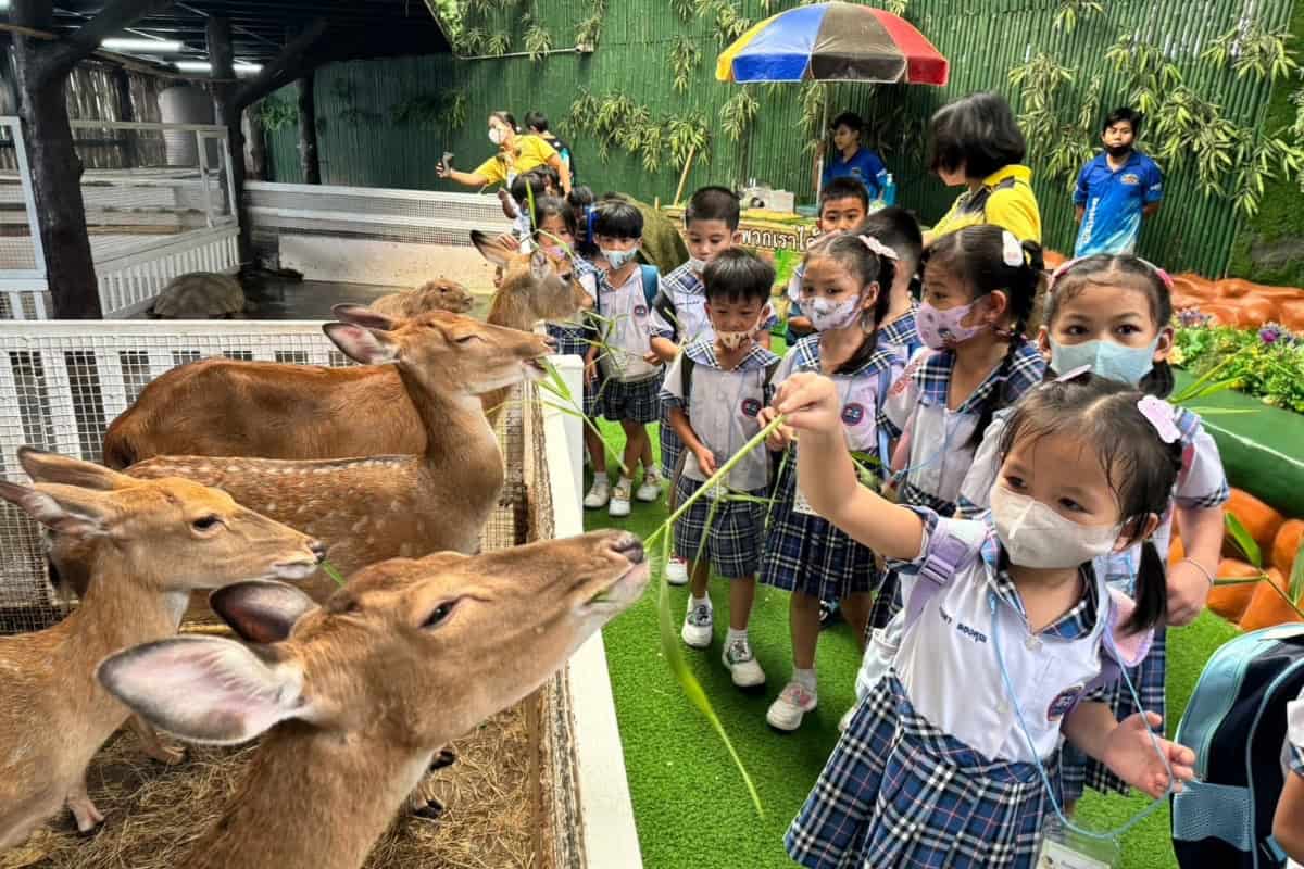 เด็ก ๆ มาทัศนศึกษา พิพิธภัณฑ์สัตว์น้ำพัทยา มอนสเตอร์ อควาเรียม พัทยา