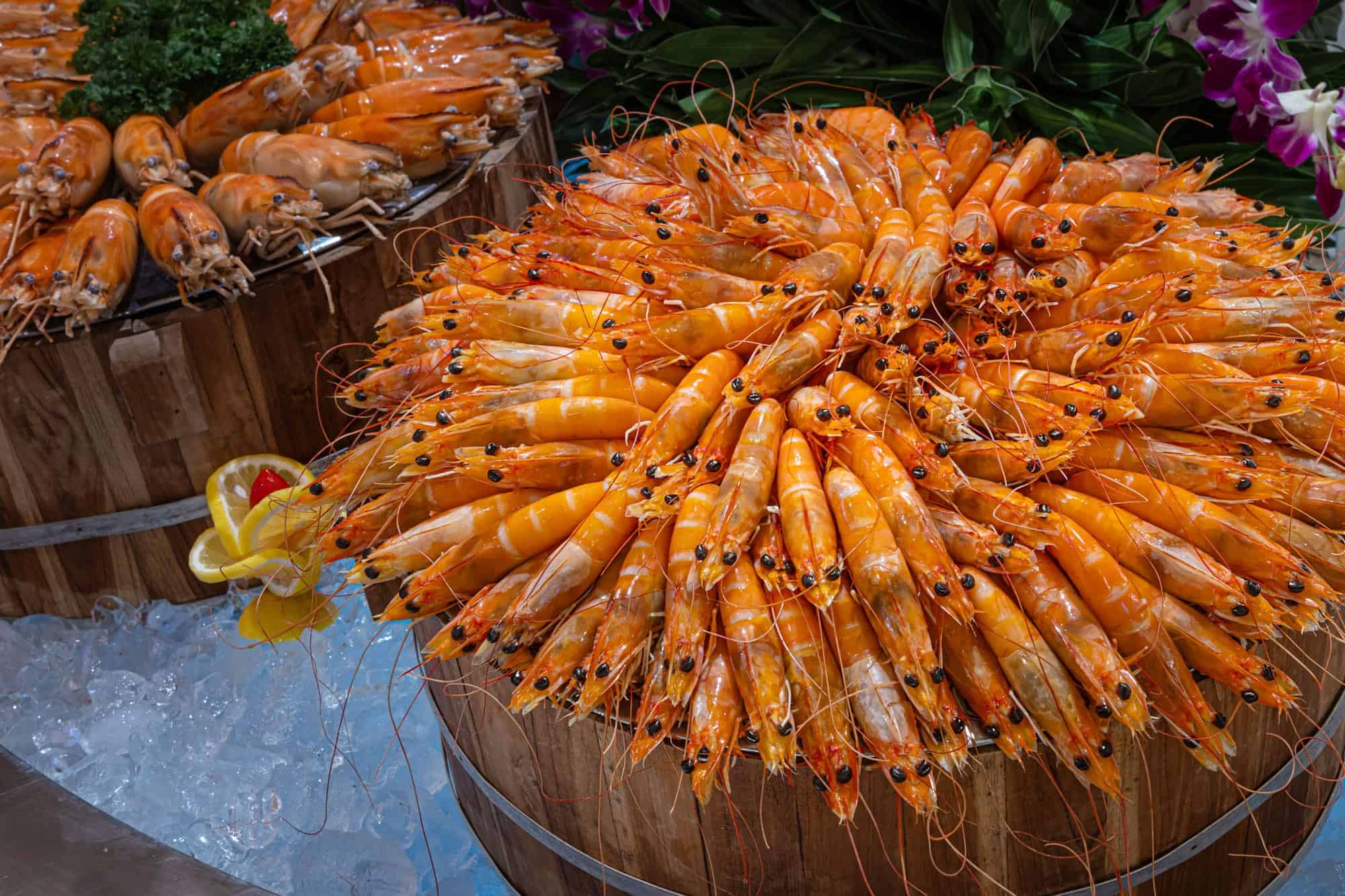 RC_Saturday-Grand-BBQ-04